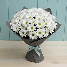 Букет цветов из:  Хризантемы в Якорная Щель