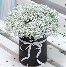 Цветочная композиция из Гипсофила в шляпной коробке #REPLACE_PRED# Якорная Щель