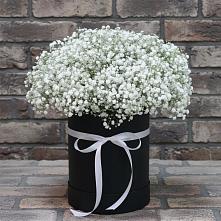 Цветочная композиция из Гипсофила в шляпной коробке в Якорная Щель