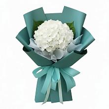 Букет цветов из:  Гортензия в Якорная Щель